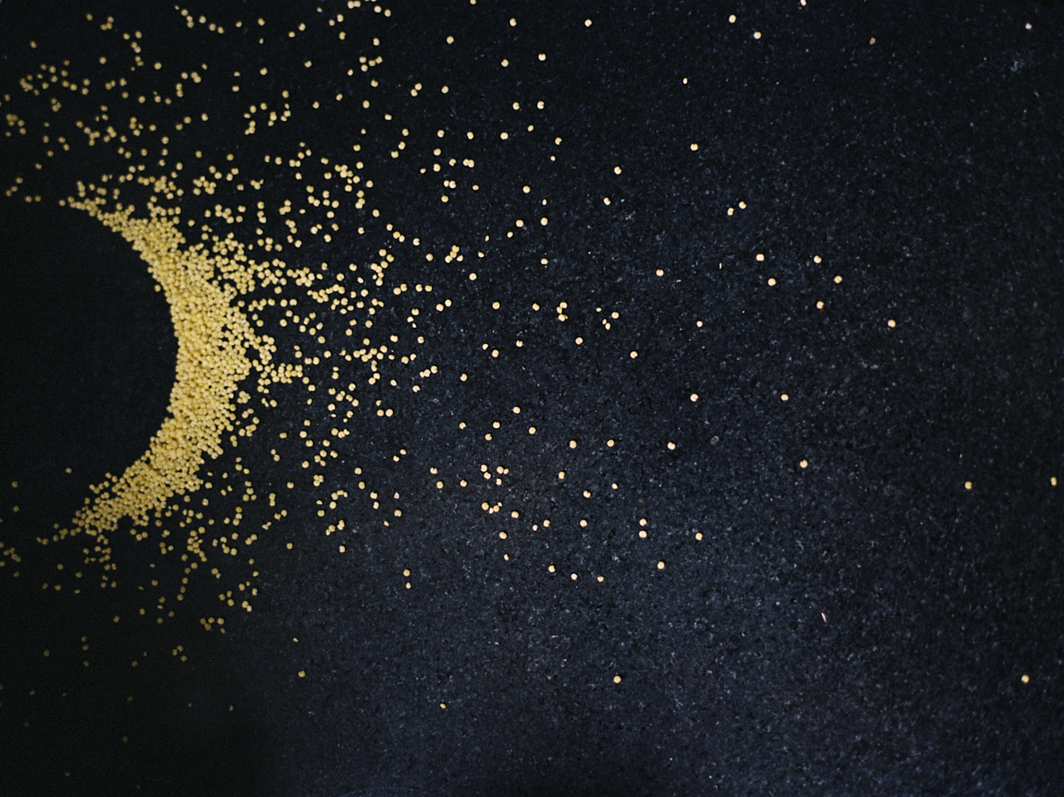 https://www.liushuwei.com/files/gimgs/47_liu-shuwei-moondust.jpg