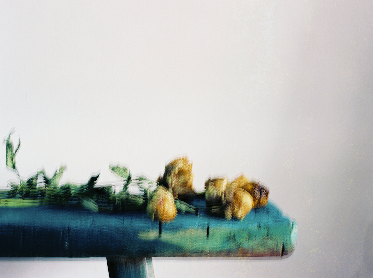 https://www.liushuwei.com/files/gimgs/47_liu-shuweirosa-decidua.jpg