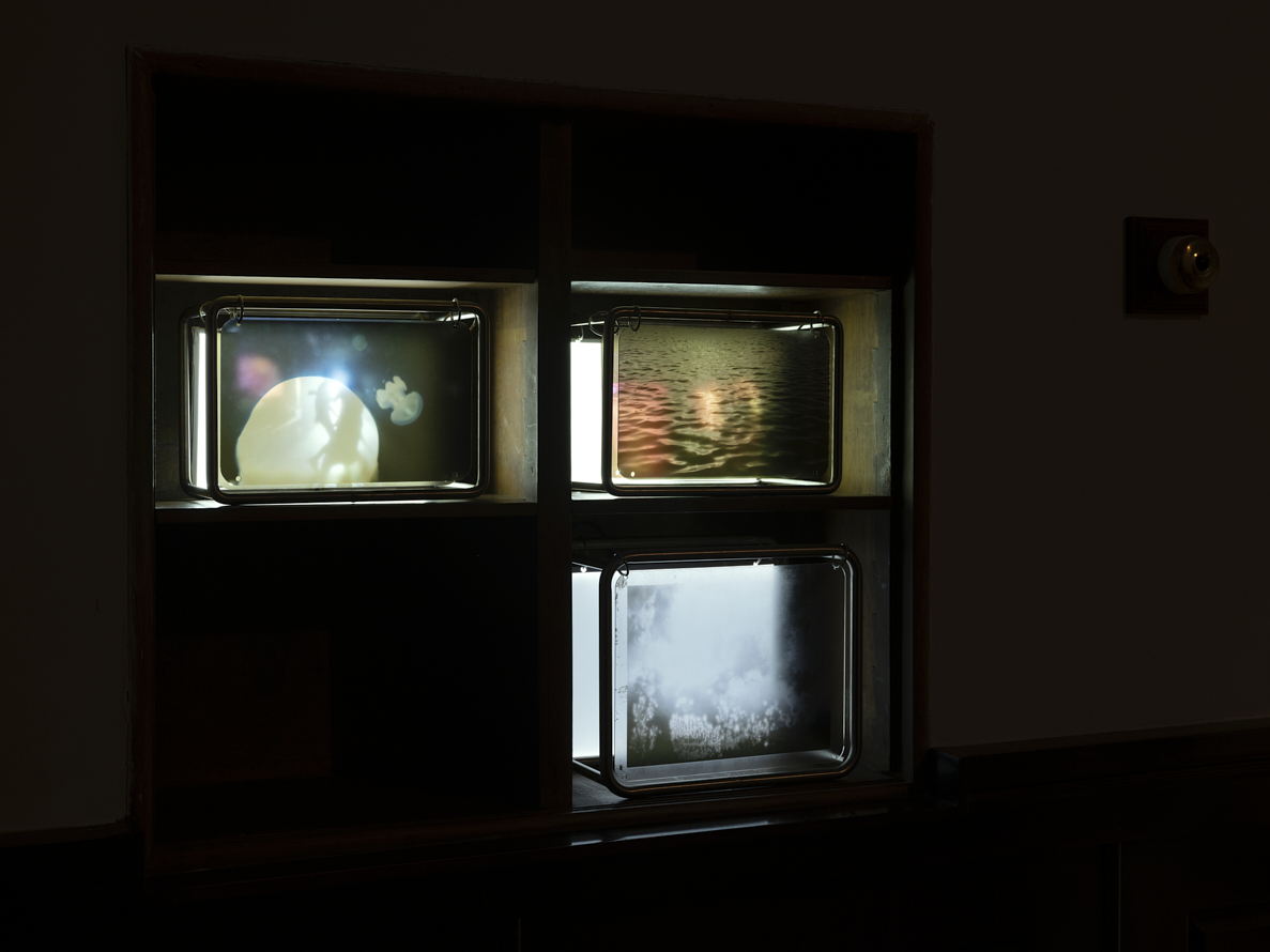 https://www.liushuwei.com/files/gimgs/49_liu-shuwei-vanishing-act-installation-view-c02c.jpg