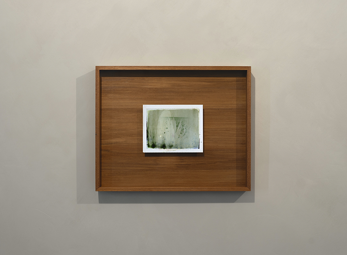https://www.liushuwei.com/files/gimgs/49_liu-shuwei-vanishing-act-installation-view-c06.jpg