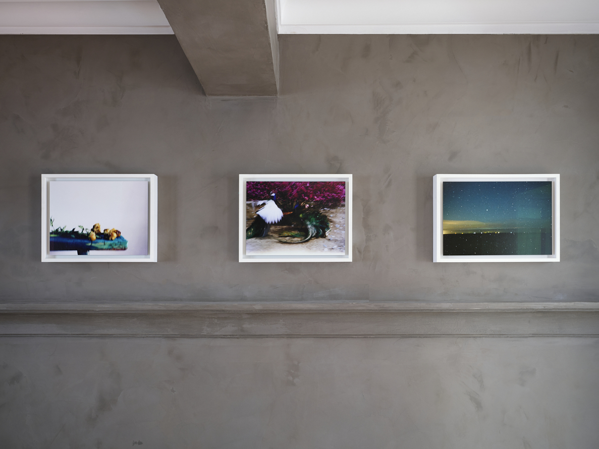 https://www.liushuwei.com/files/gimgs/49_liu-shuwei-vanishing-act-installation-view-g01.jpg