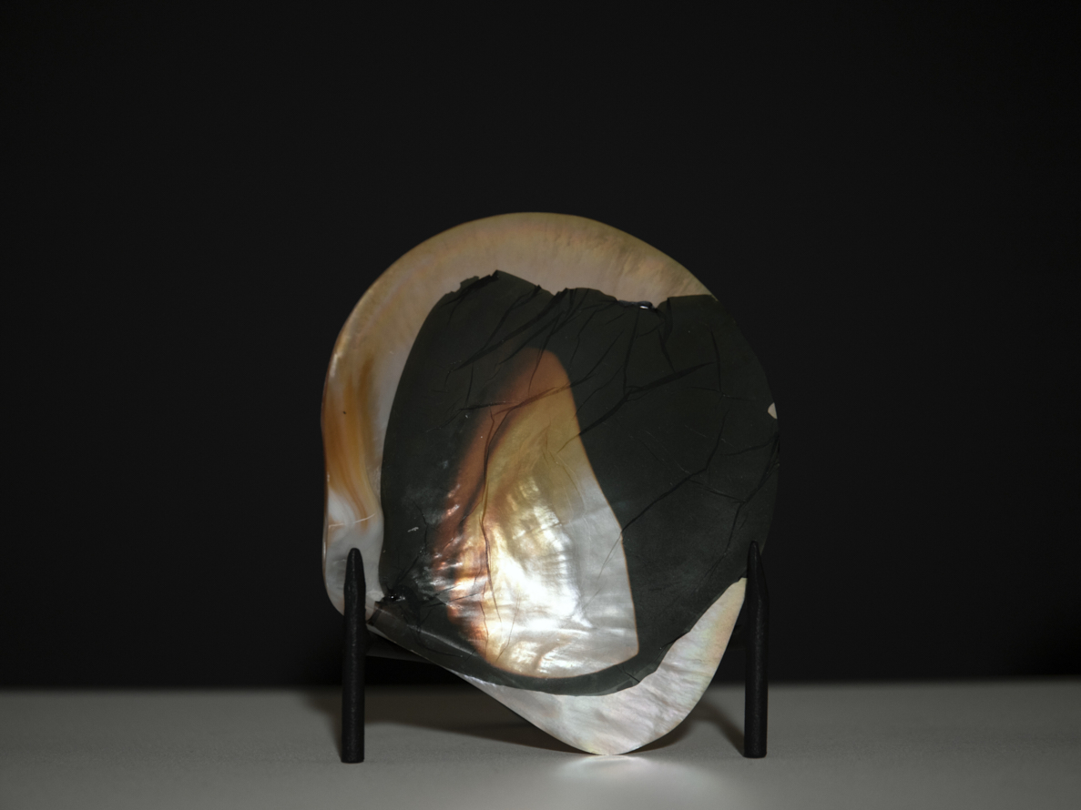 https://www.liushuwei.com/files/gimgs/50_liu-shuwei-tomorrow-was-archived-installation-view-palais-de-tokyo-13.jpg