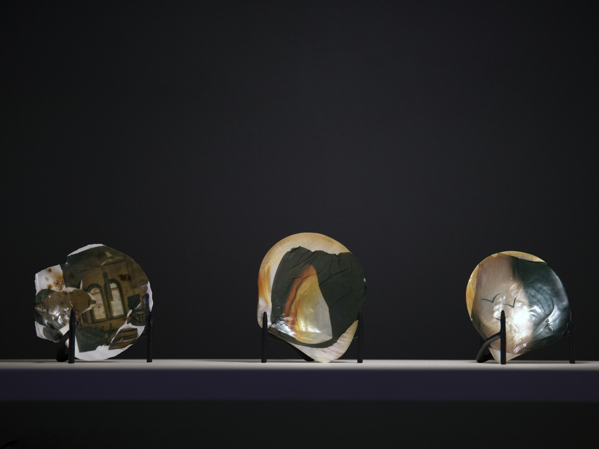 https://www.liushuwei.com/files/gimgs/50_liu-shuwei-tomorrow-was-archived-installation-view-palais-de-tokyo-20.jpg
