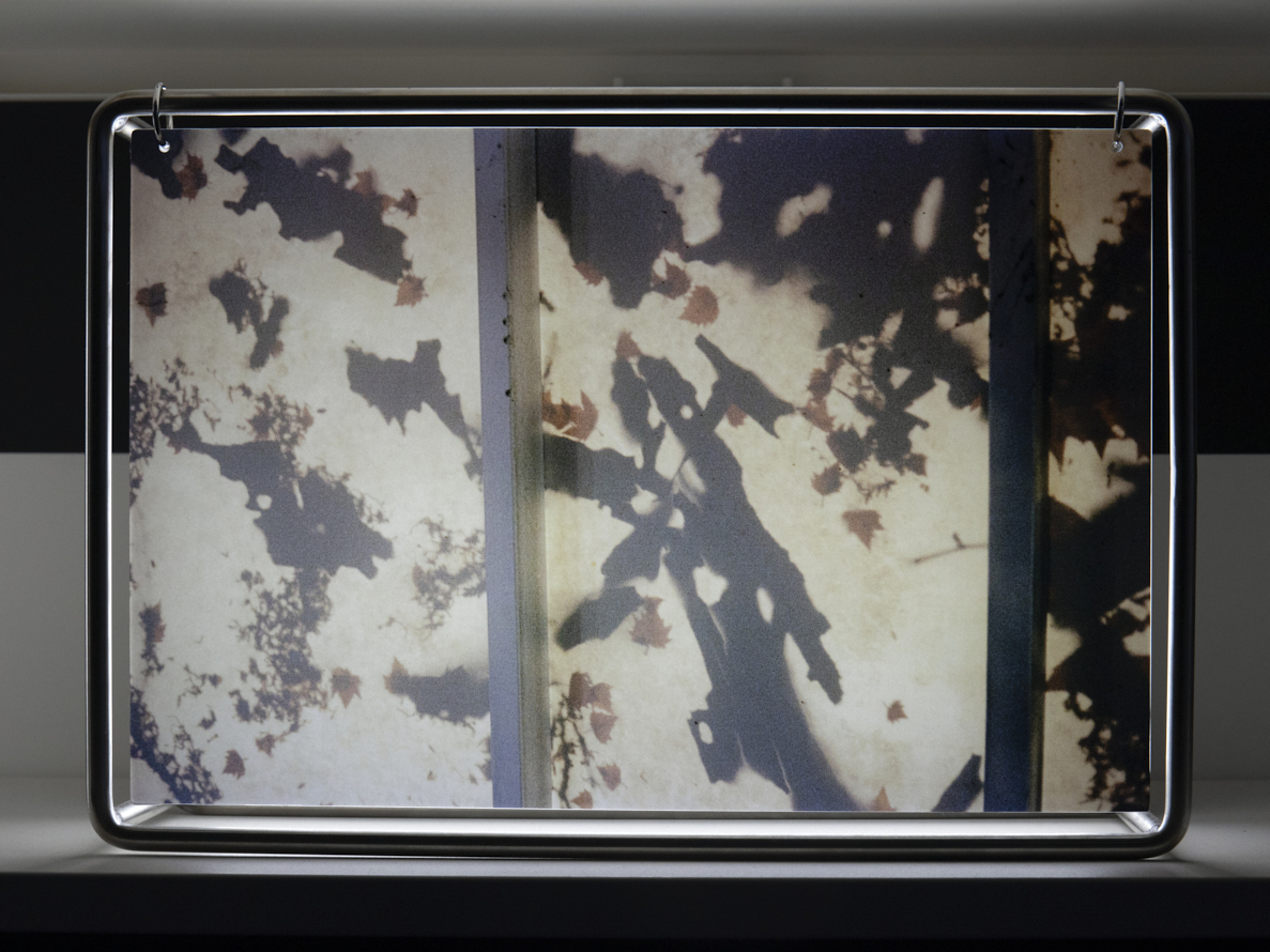 https://www.liushuwei.com/files/gimgs/50_liu-shuwei-tomorrow-was-archived-installation-view-palais-de-tokyo-5.jpg
