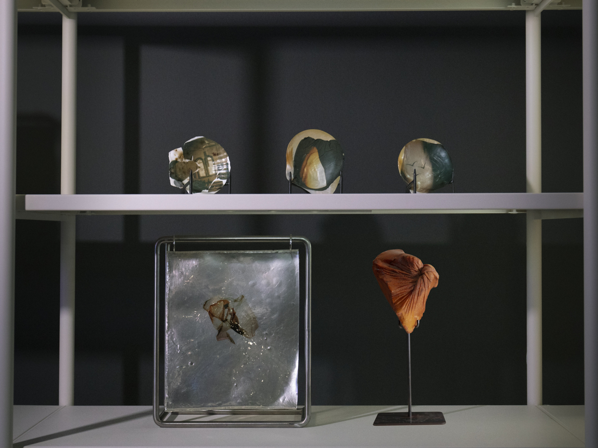 https://www.liushuwei.com/files/gimgs/50_liu-shuwei-tomorrow-was-archived-installation-view-palais-de-tokyo-7.jpg