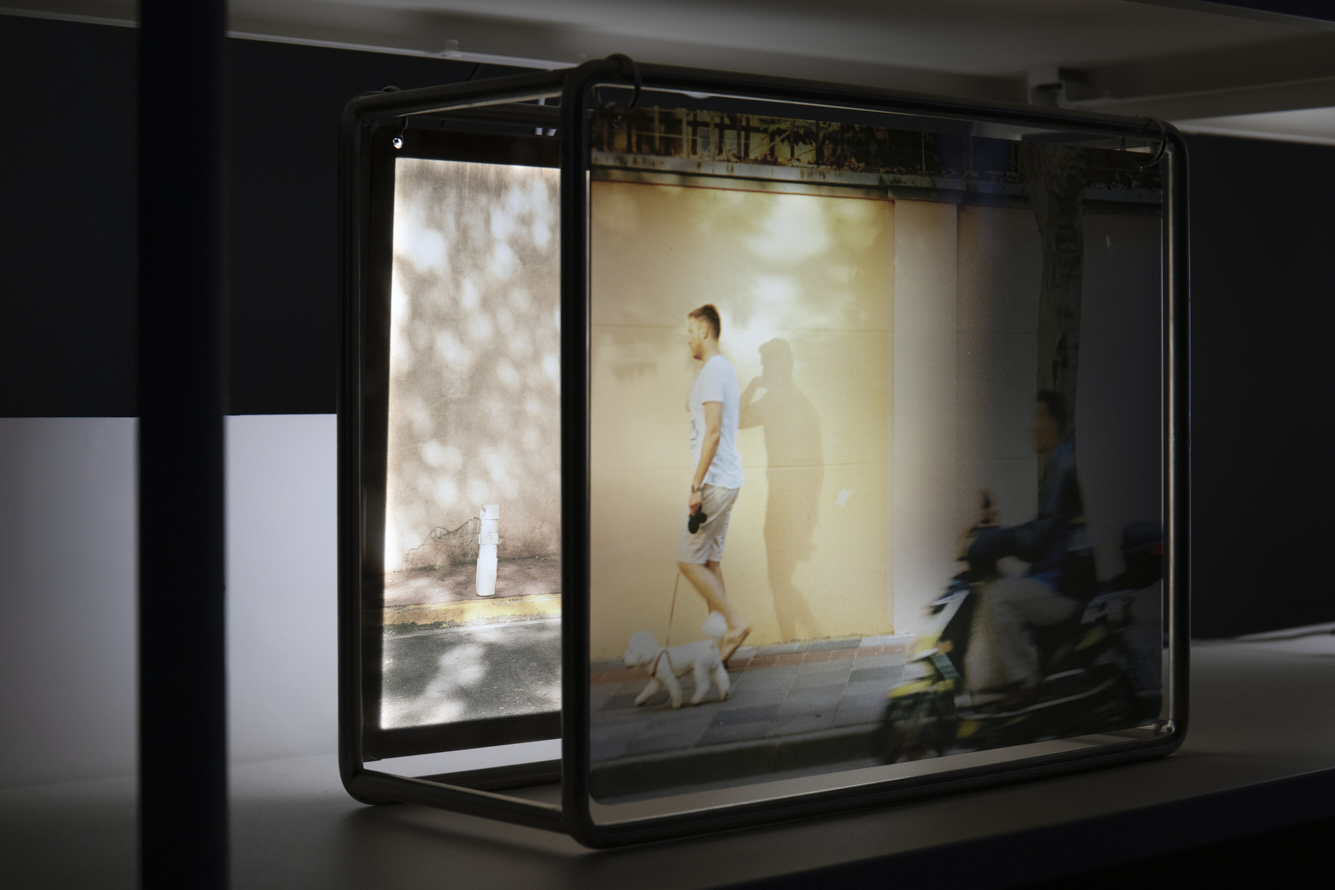 https://www.liushuwei.com/files/gimgs/50_liu-shuwei-tomorrow-was-archived-installation-view-palais-de-tokyo-8.jpg