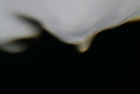 48_liu-shuwei-tides.jpg